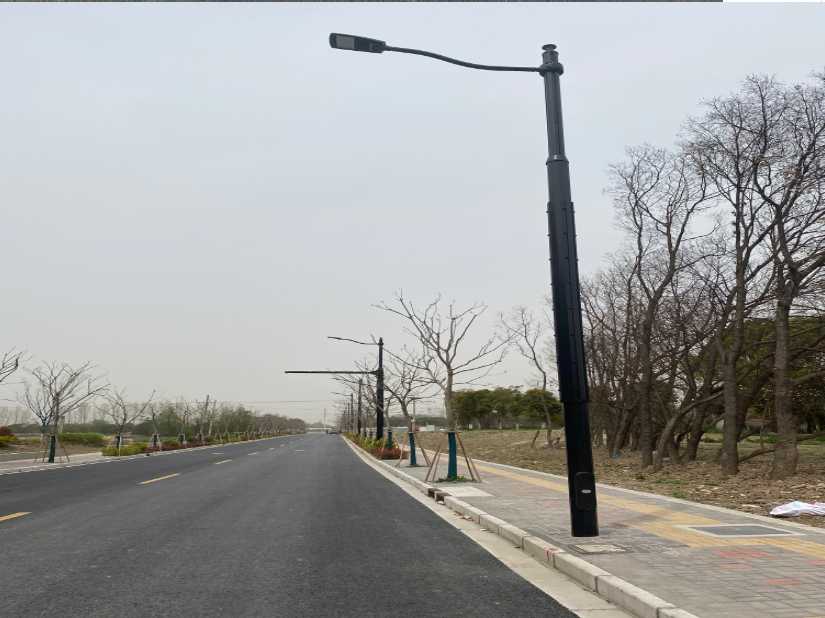 米易县上海综合杆 太阳能路灯工程